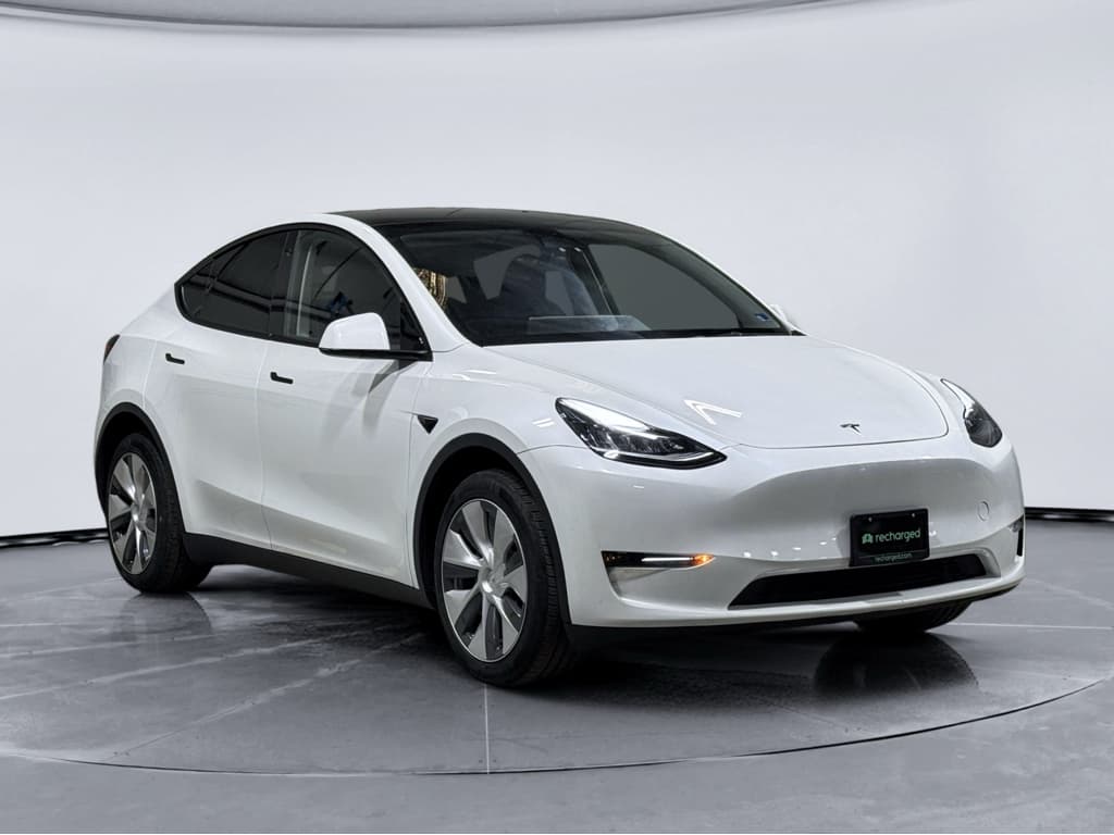2023 Tesla Model Y view 4