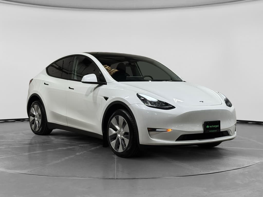 2023 Tesla Model Y view 4
