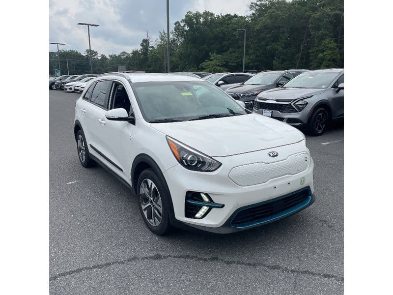 2020 Kia Niro EV view 4