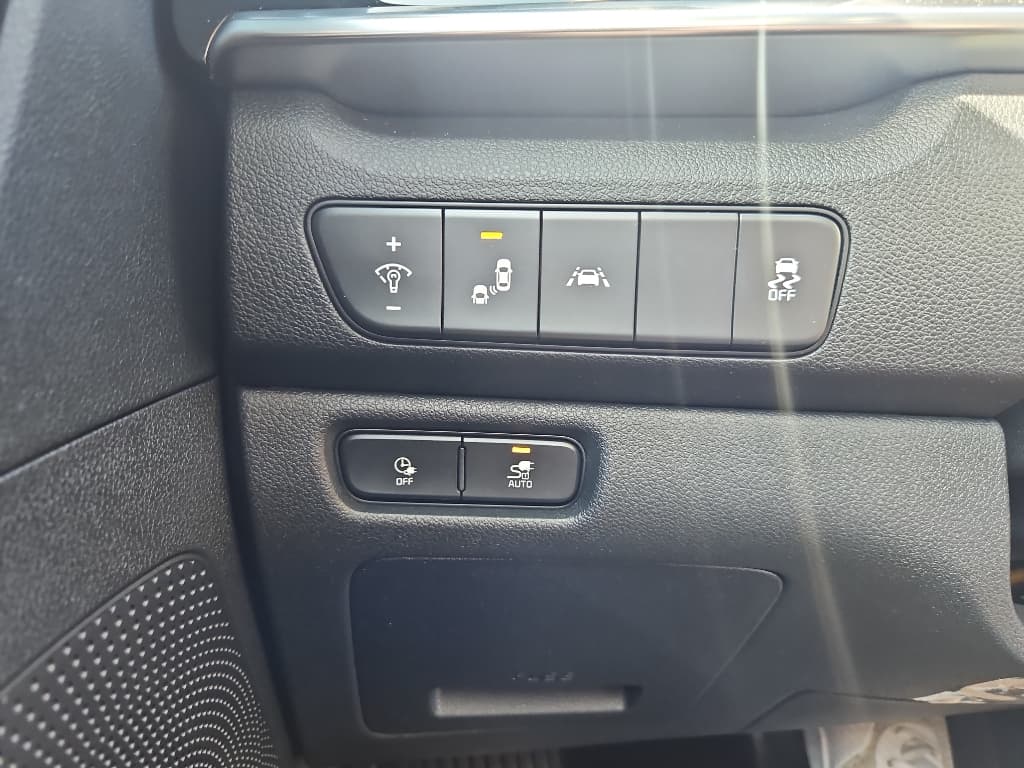 2020 Kia Niro EV view 9