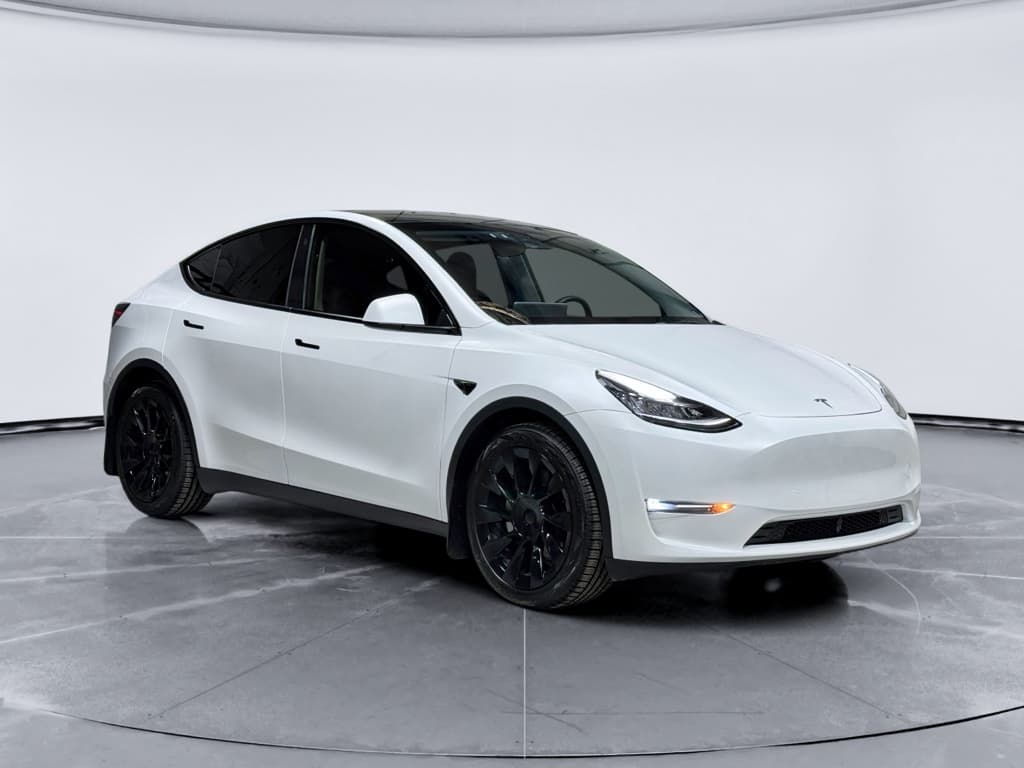 2023 Tesla Model Y view 4