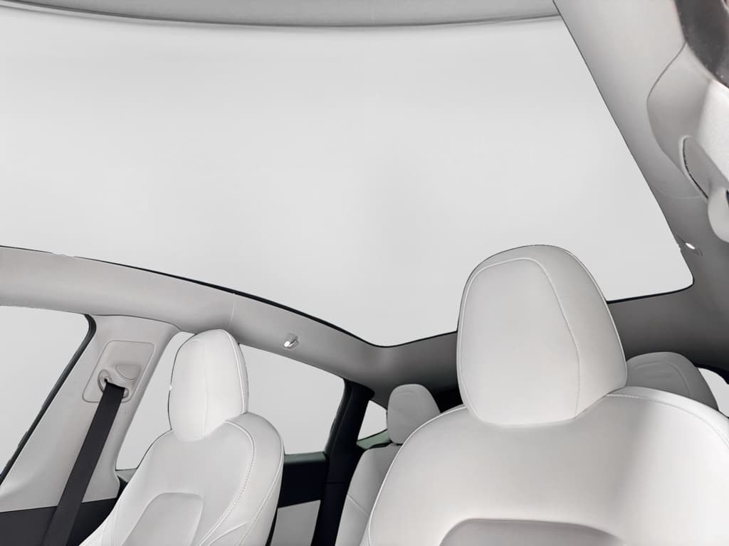 2021 Tesla Model Y view 22