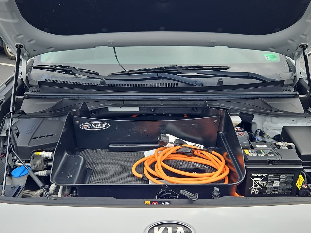 2020 Kia Niro EV view 6
