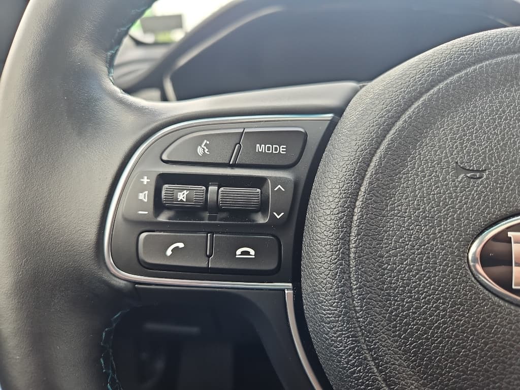 2020 Kia Niro EV view 17