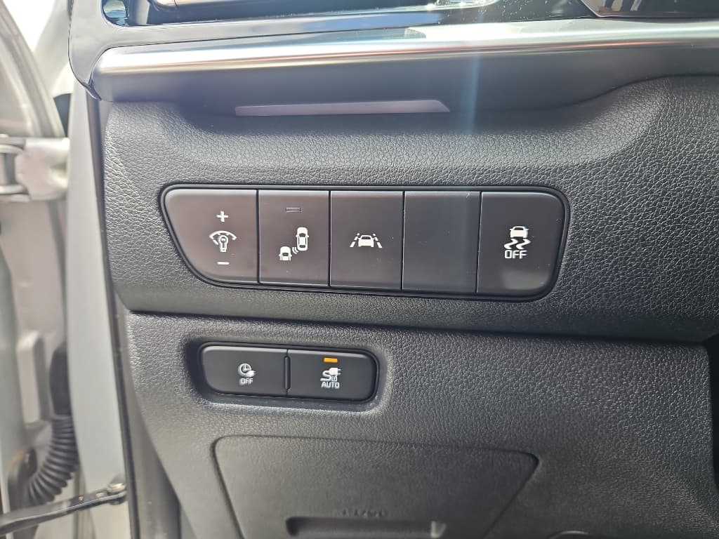 2020 Kia Niro EV view 24