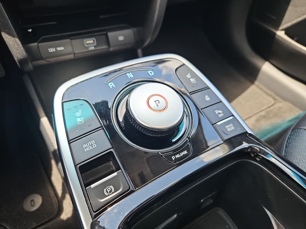 2020 Kia Niro EV view 20