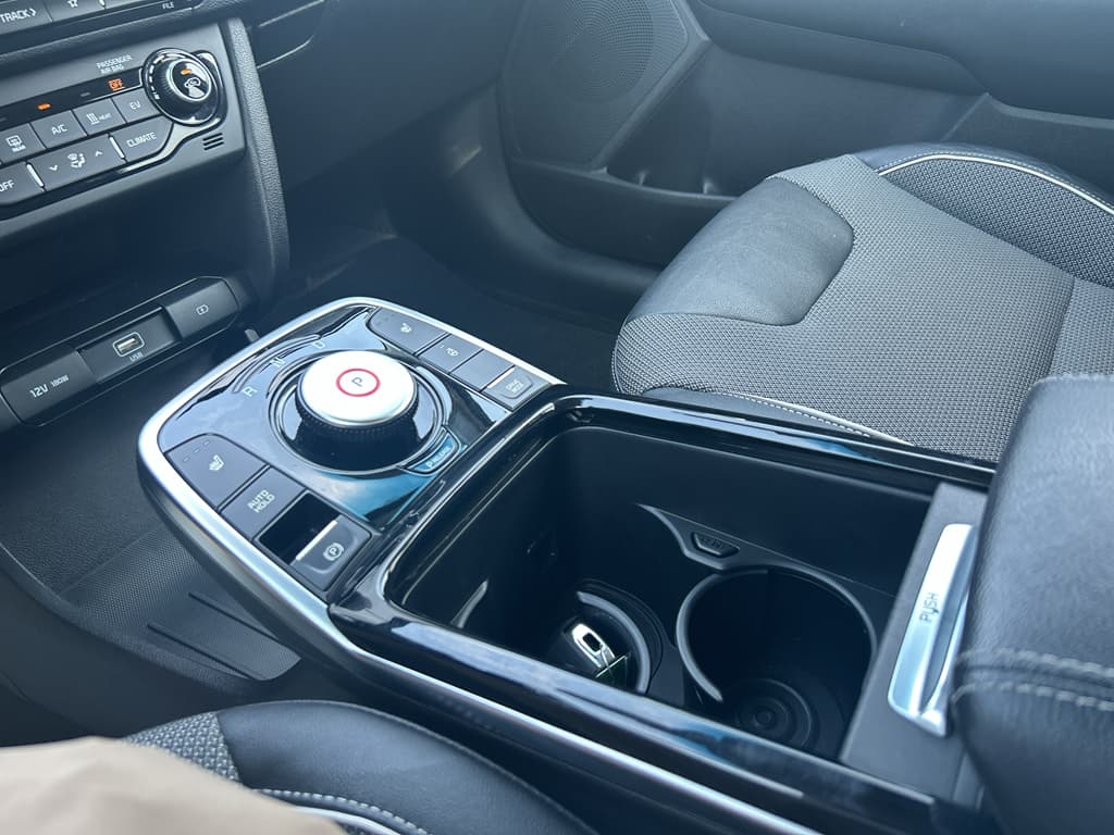 2020 Kia Niro EV view 15