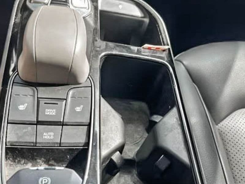 2020 Hyundai IONIQ Electric view 22