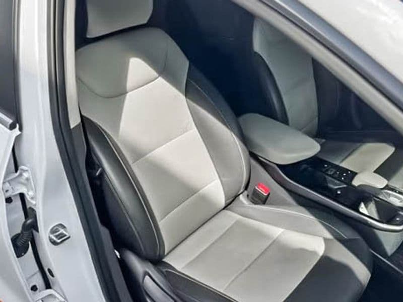 2020 Hyundai IONIQ Electric view 25