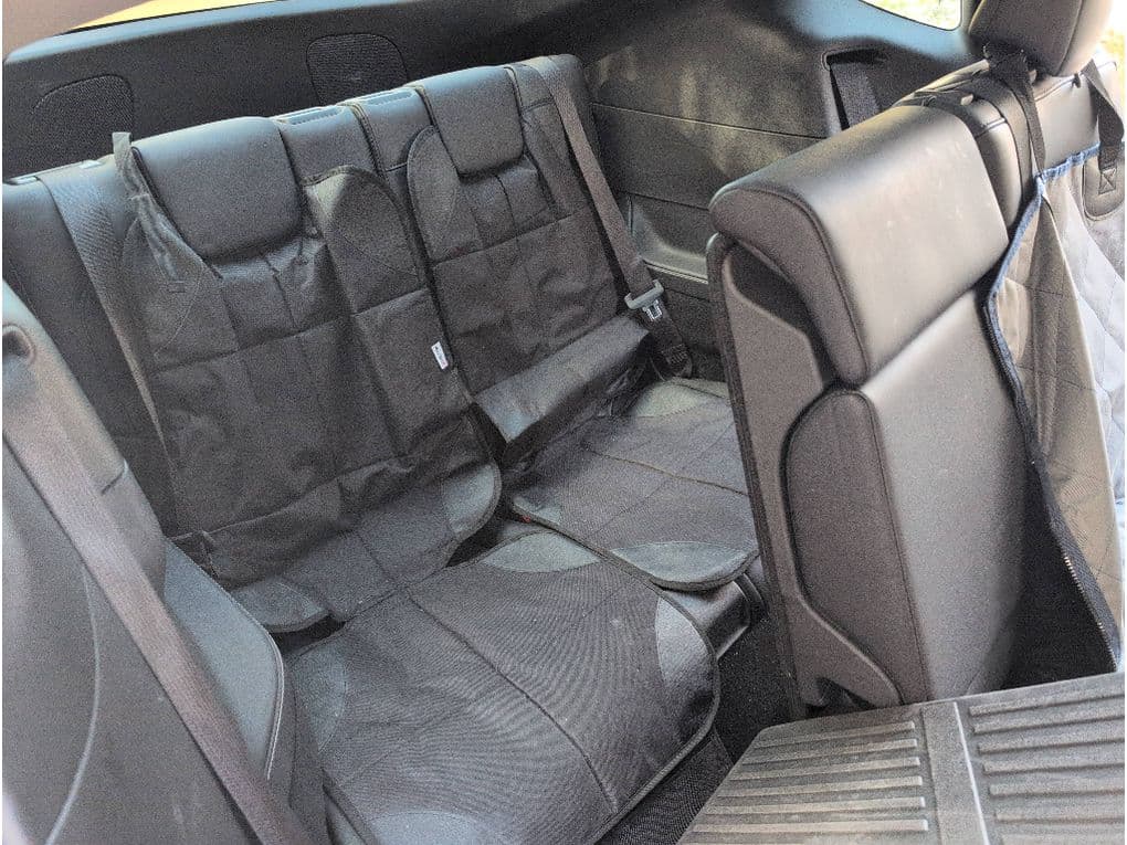 2024 Tesla Model Y view 5