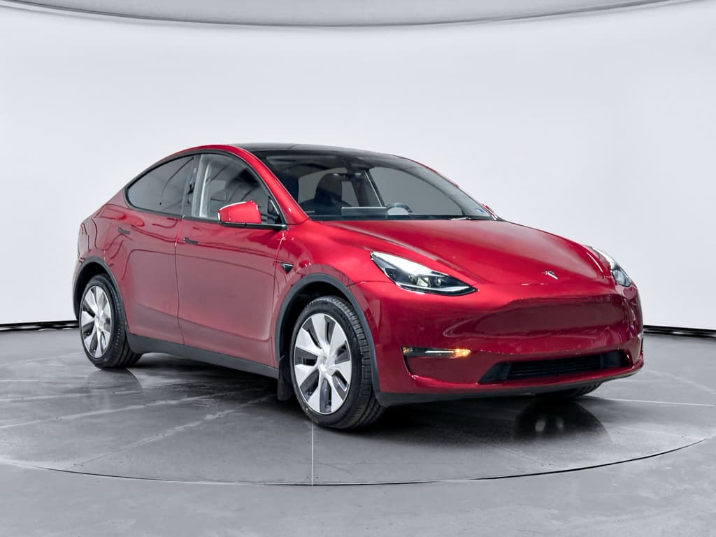 2024 Tesla Model Y view 4