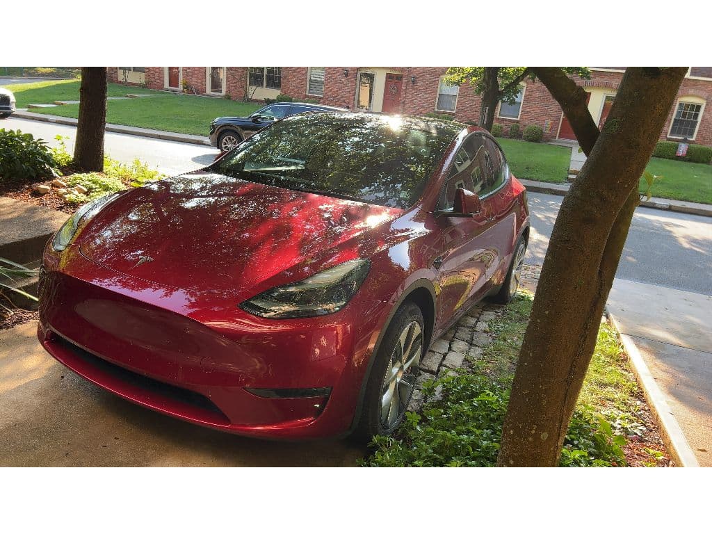 2024 Tesla Model Y