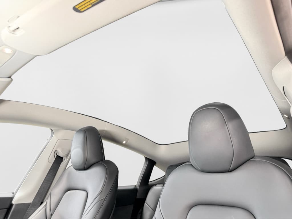 2024 Tesla Model Y view 22