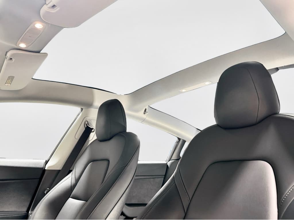 2021 Tesla Model 3 view 22