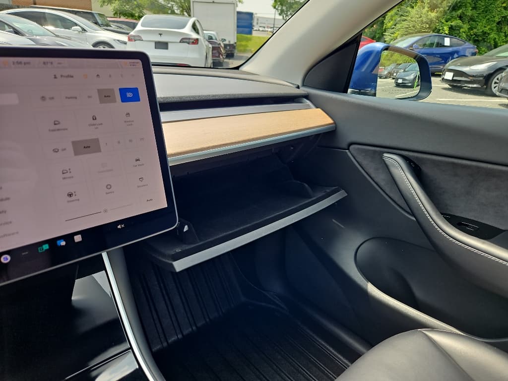 2021 Tesla Model Y view 14