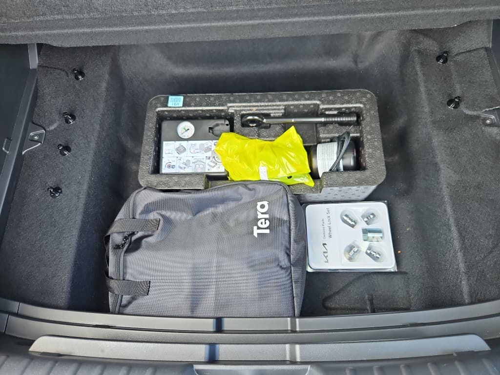 2024 Kia Niro EV view 6