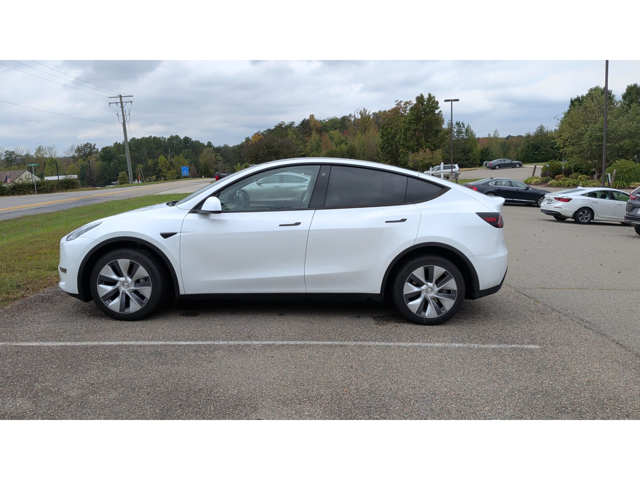 2023 Tesla Model Y view 2