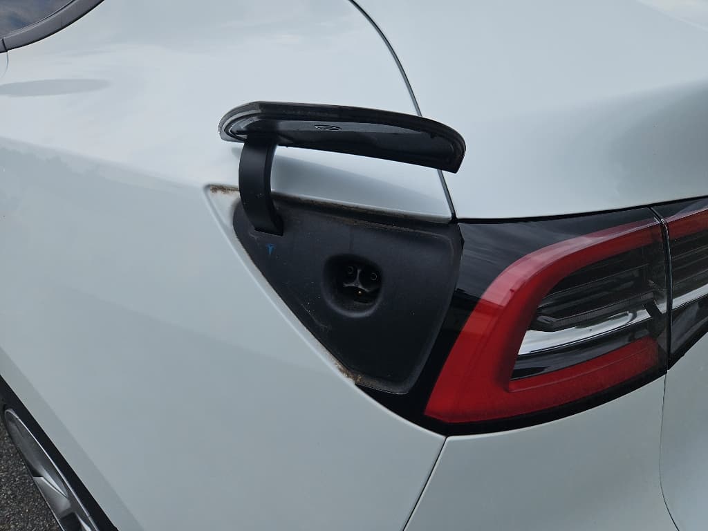 2021 Tesla Model Y view 5
