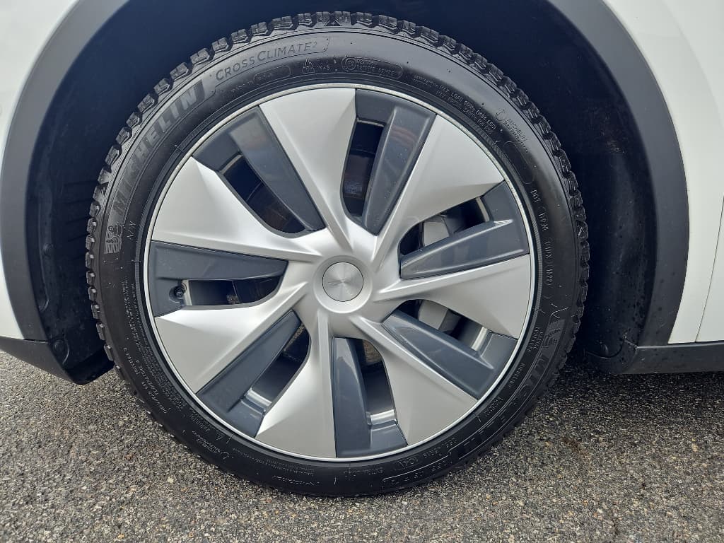 2021 Tesla Model Y view 22