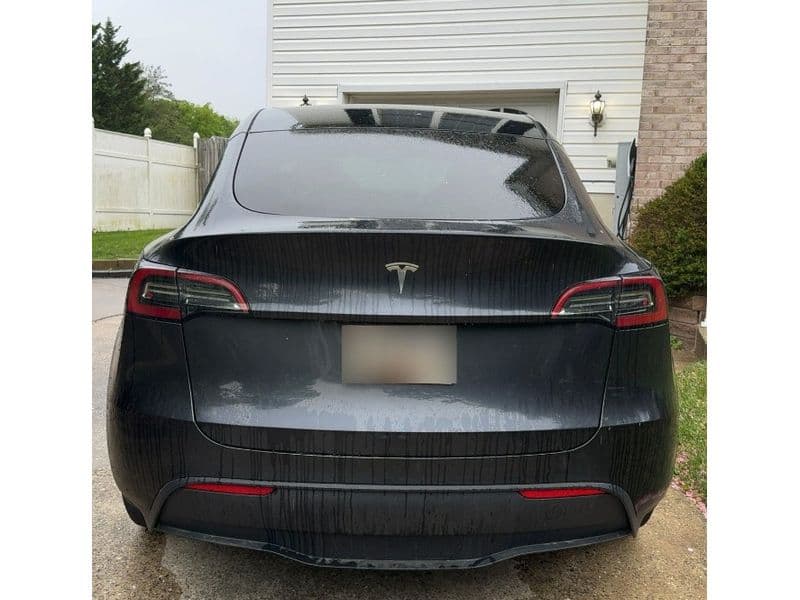 2024 Tesla Model Y view 4