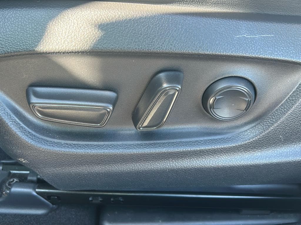 2019 Toyota Prius view 4