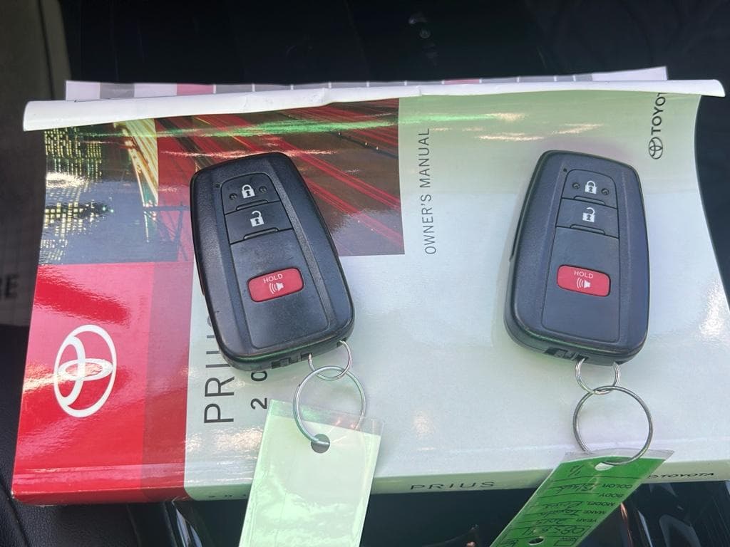 2019 Toyota Prius view 14