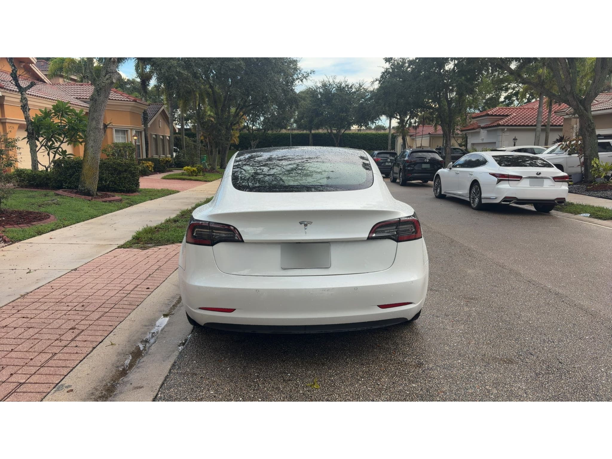 2021 Tesla Model 3 view 4