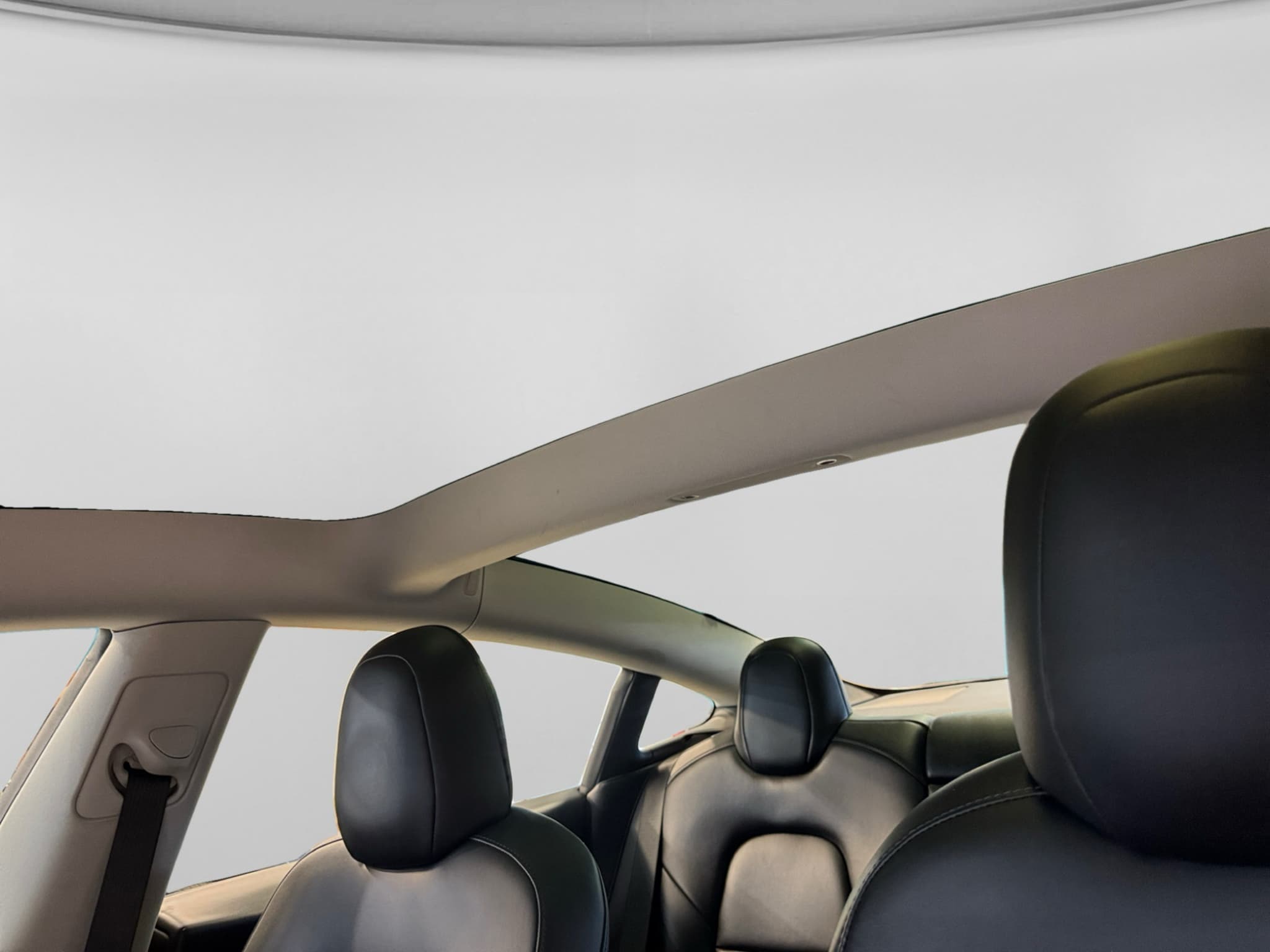 2021 Tesla Model 3 view 22