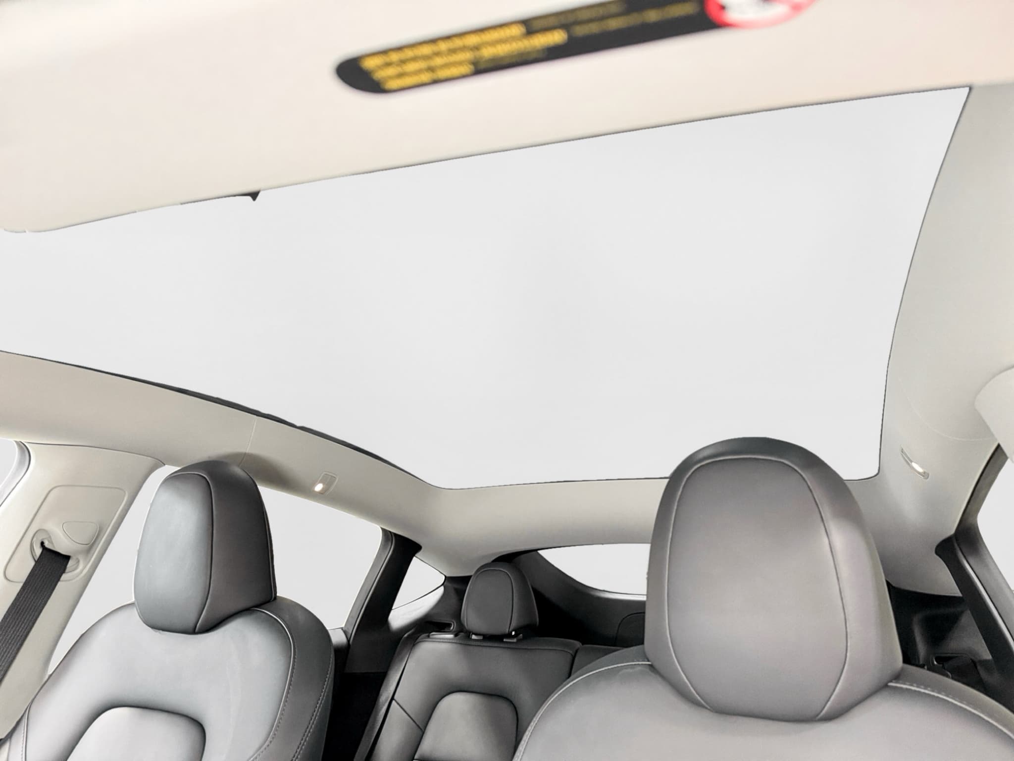 2023 Tesla Model Y view 22