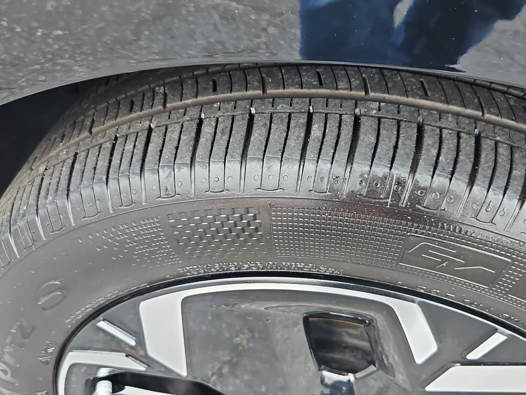 2024 Kia Niro EV view 34