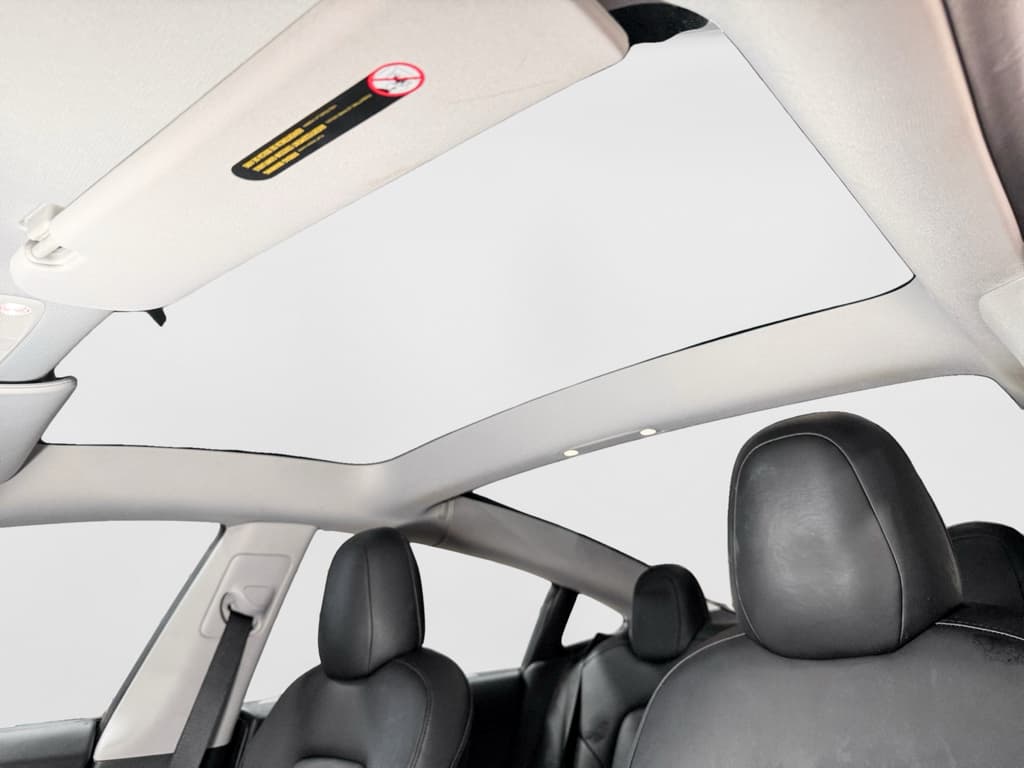 2021 Tesla Model 3 view 22