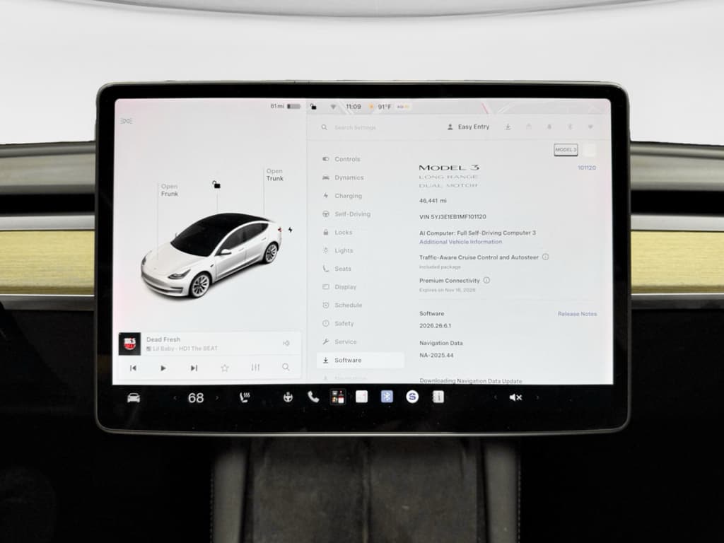 2021 Tesla Model 3 view 10