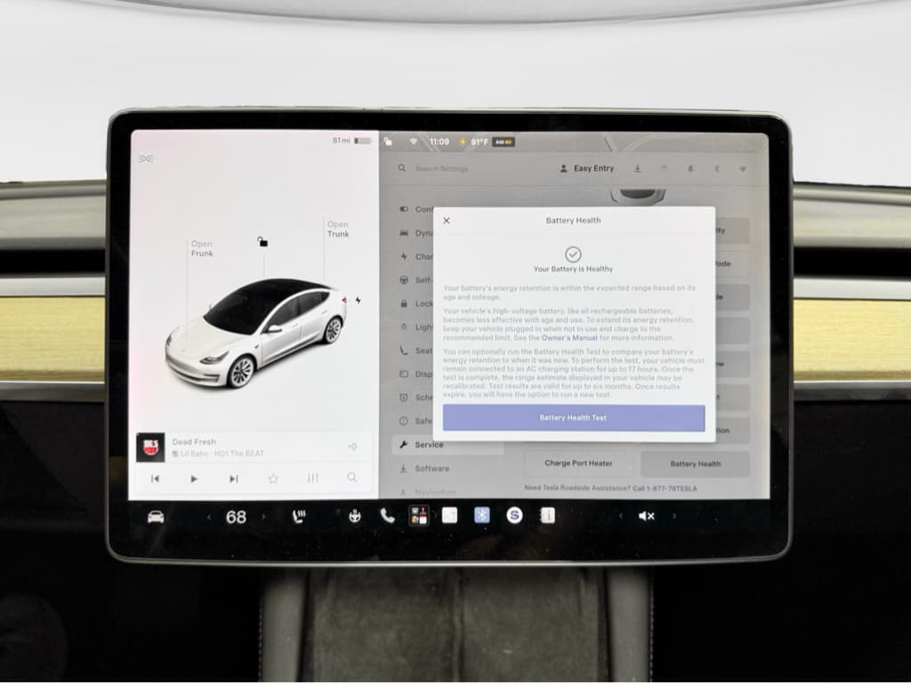 2021 Tesla Model 3 view 12