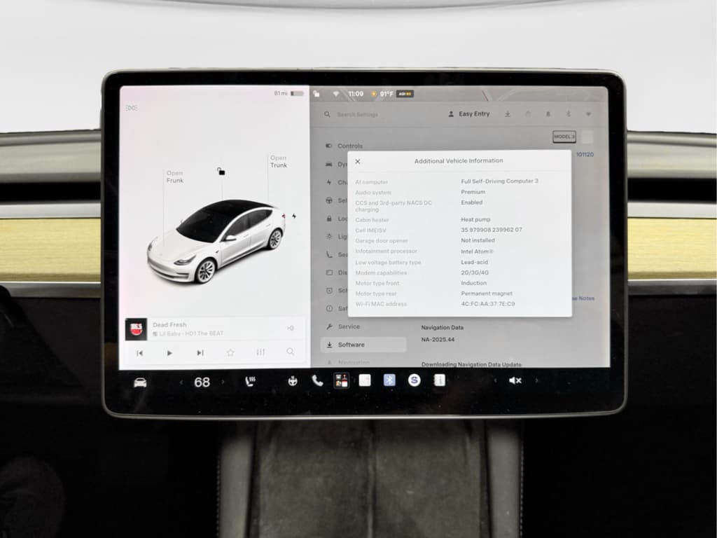 2021 Tesla Model 3 view 11