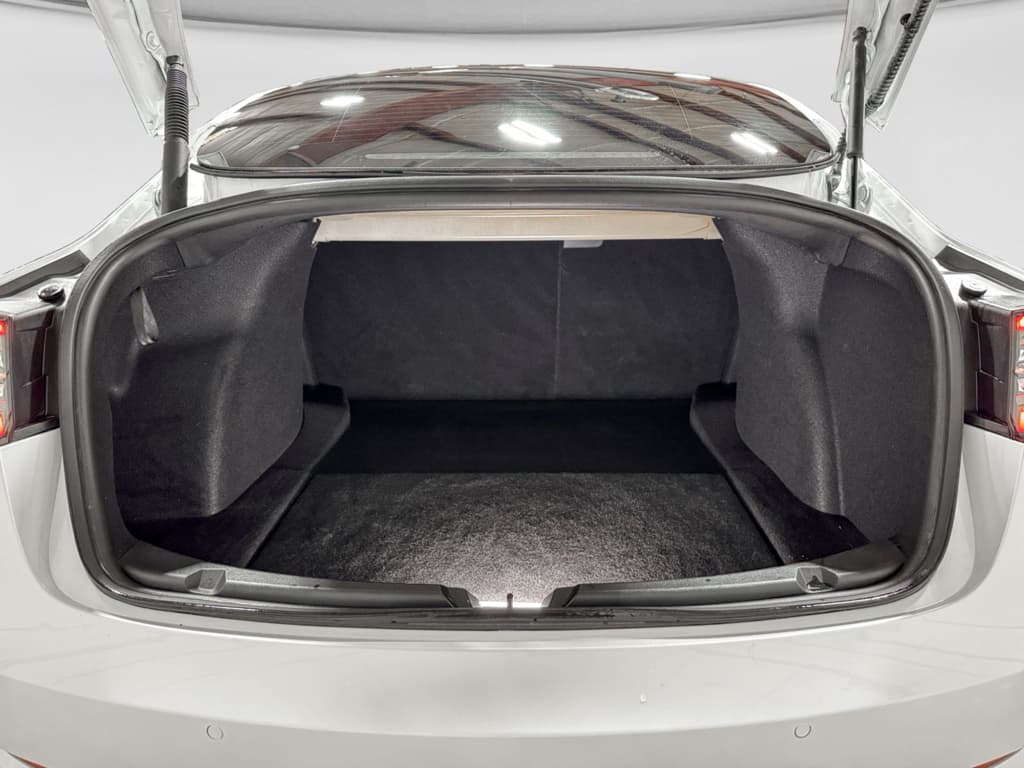 2021 Tesla Model 3 view 25