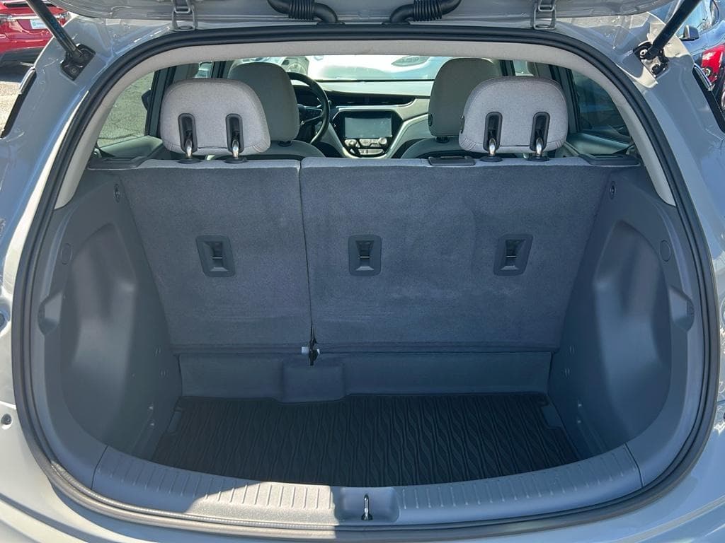 2021 Chevrolet Bolt EV view 19