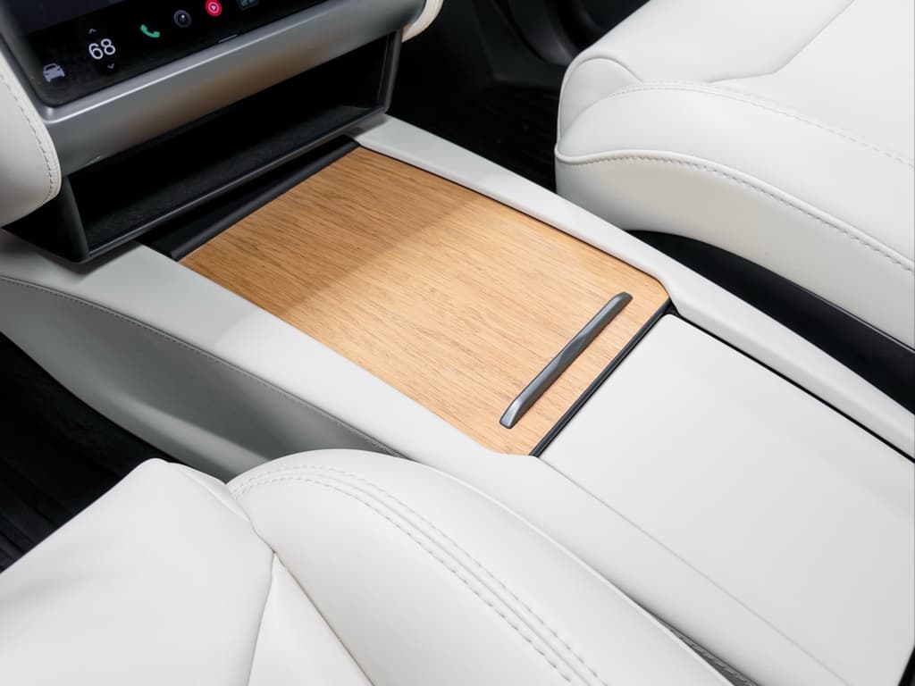2018 Tesla Model X view 19