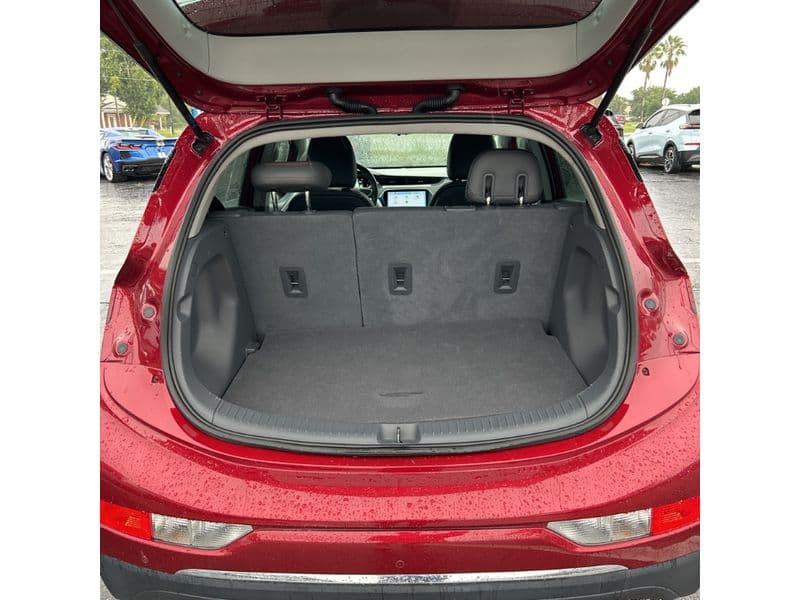 2020 Chevrolet Bolt EV view 5