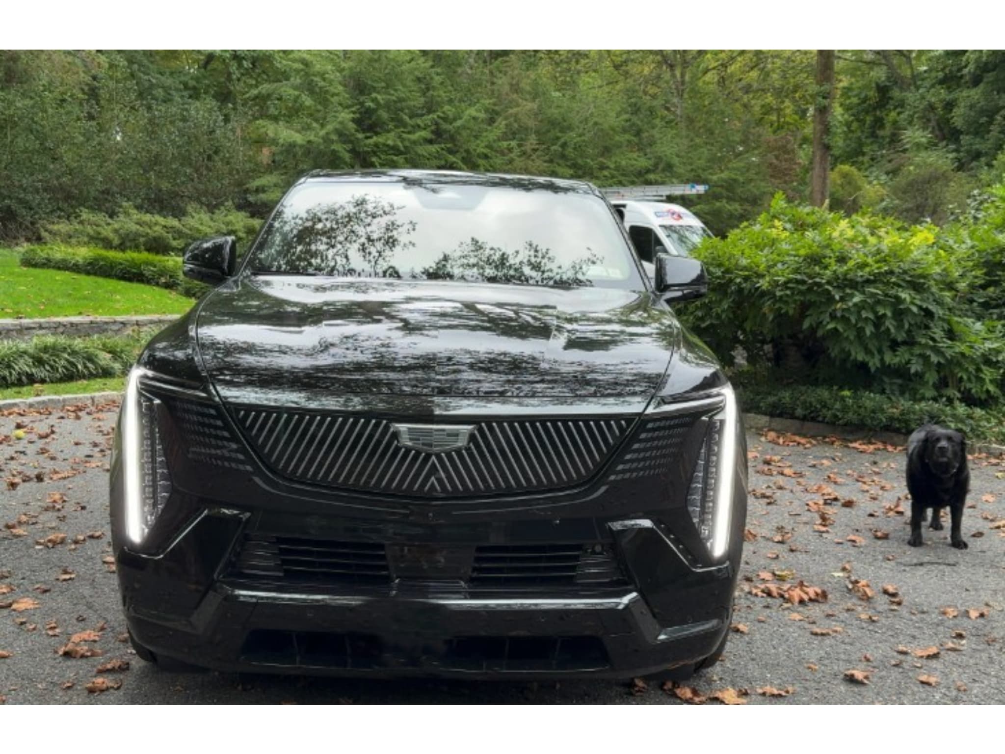 2025 Cadillac Escalade IQ view 2
