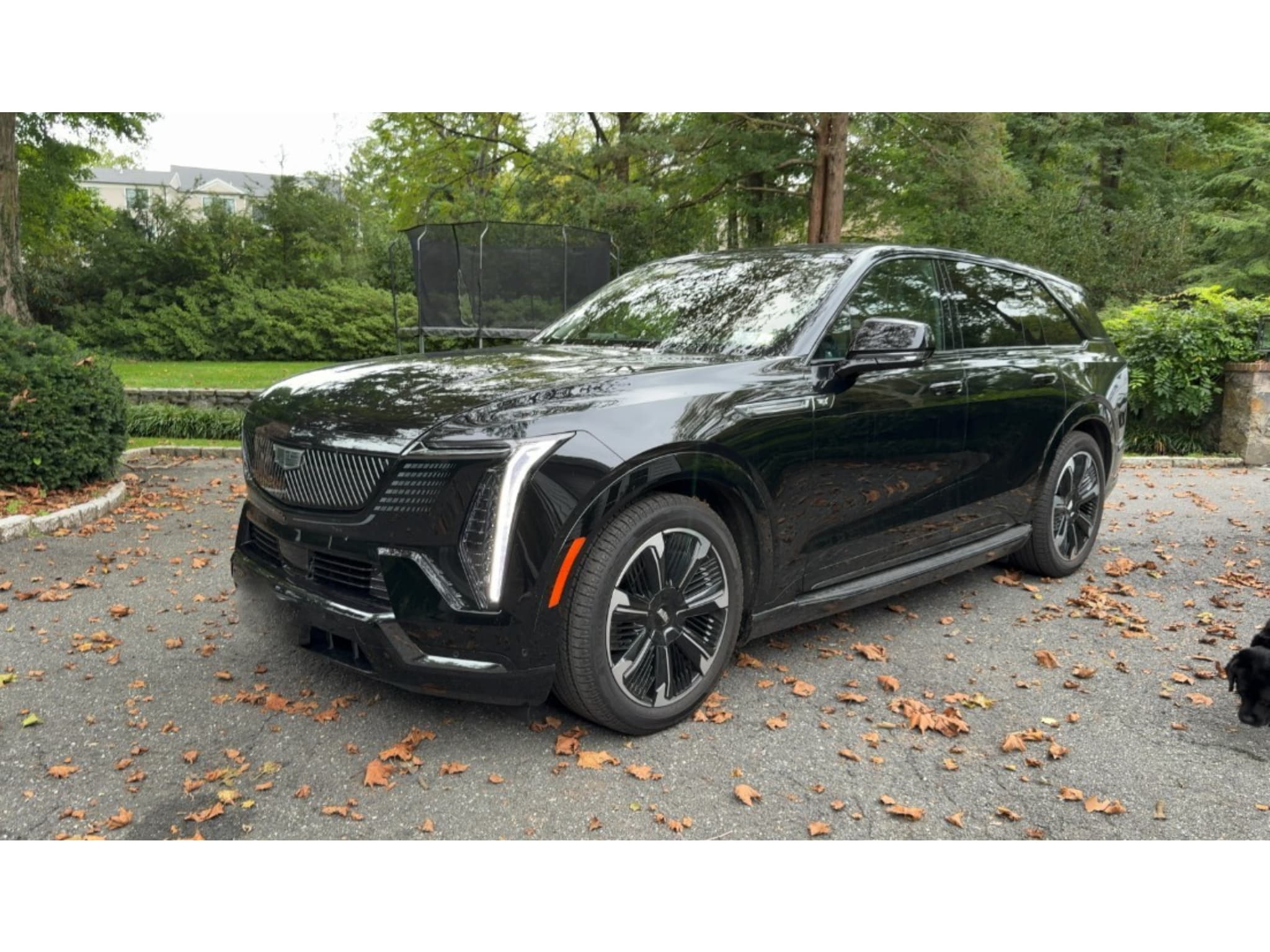 2025 Cadillac Escalade IQ view 1