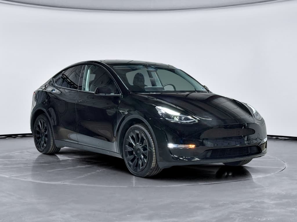 2024 Tesla Model Y view 4