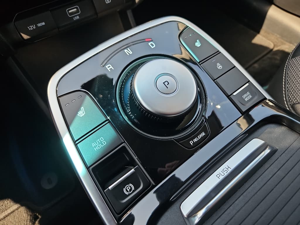 2021 Kia Niro EV view 16