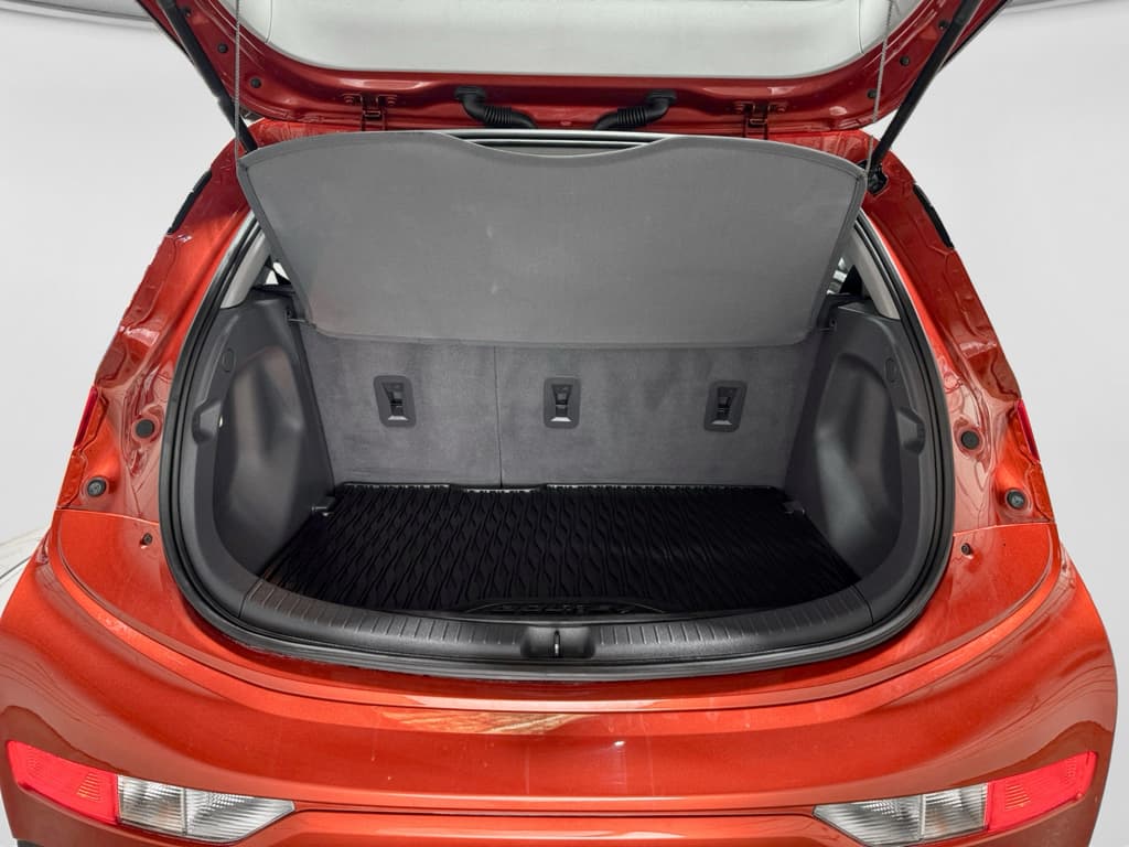 2021 Chevrolet Bolt EV view 24