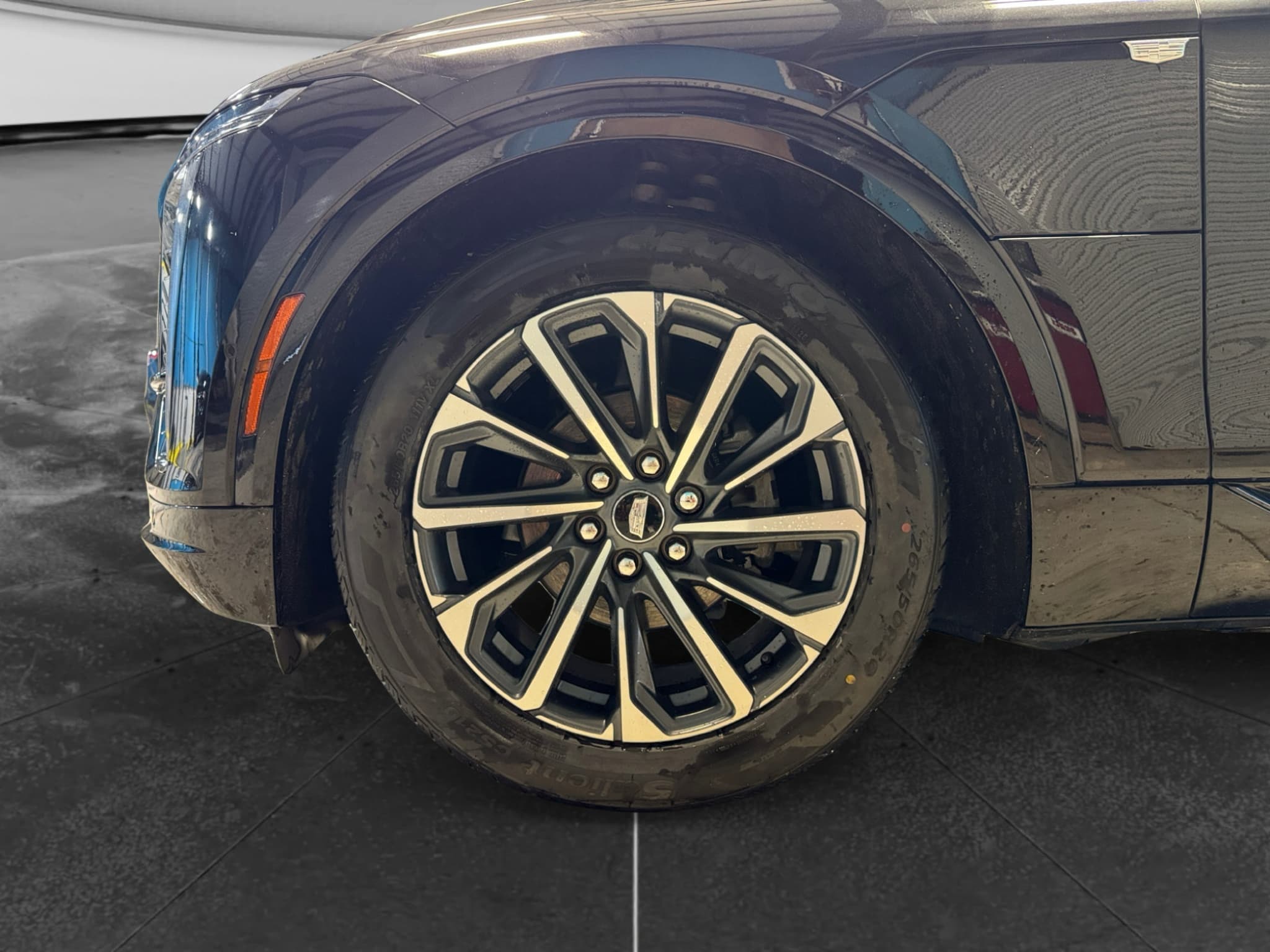 2024 Cadillac Lyriq view 29