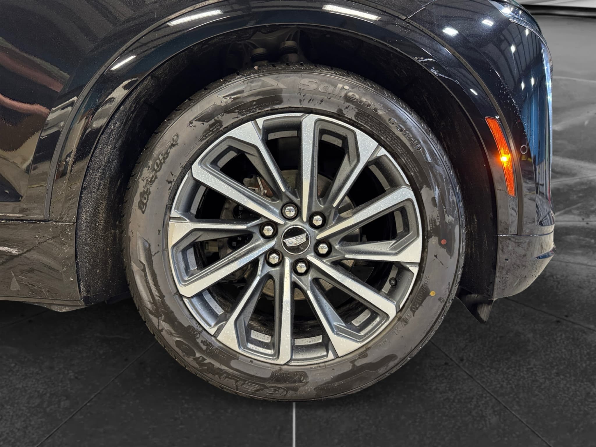 2024 Cadillac Lyriq view 33