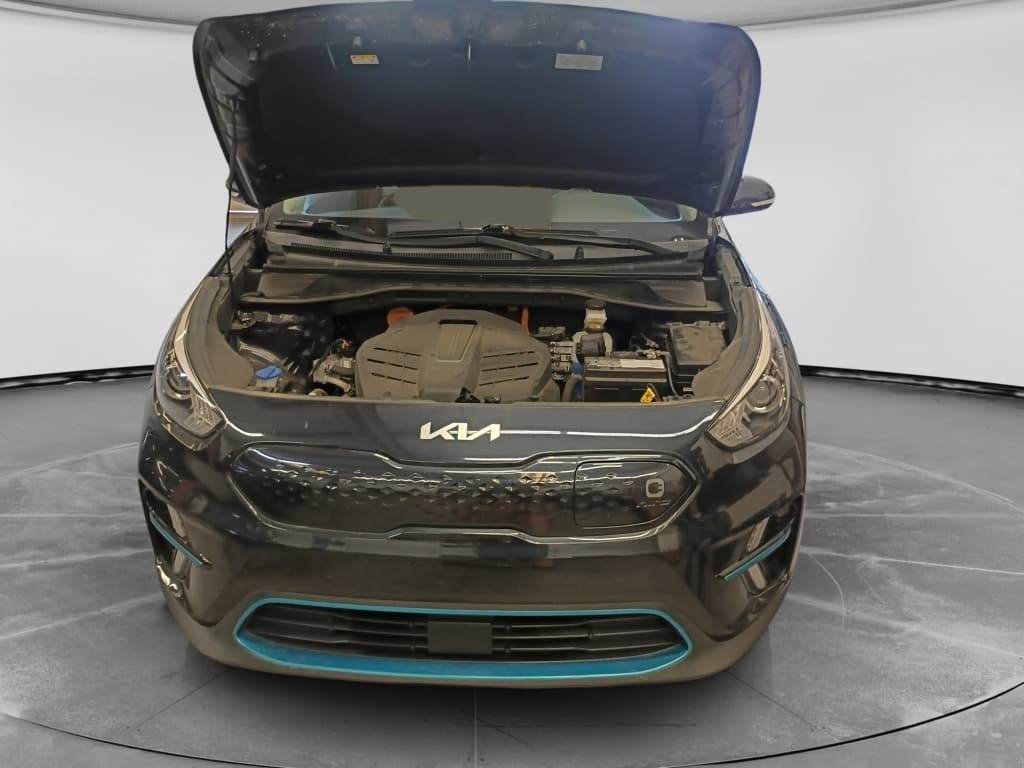 2022 Kia Niro EV view 4