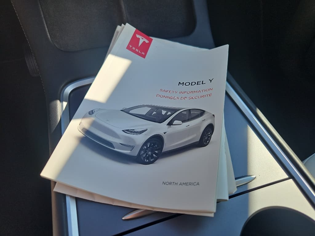 2021 Tesla Model Y view 17