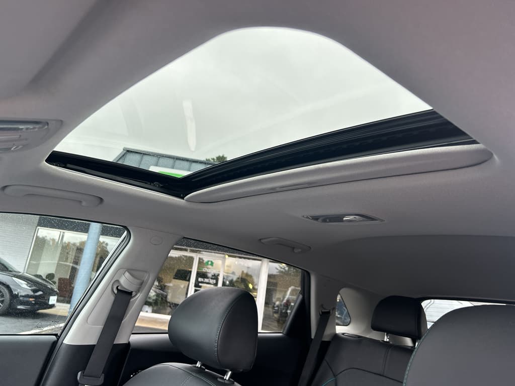 2022 Kia Niro EV view 17