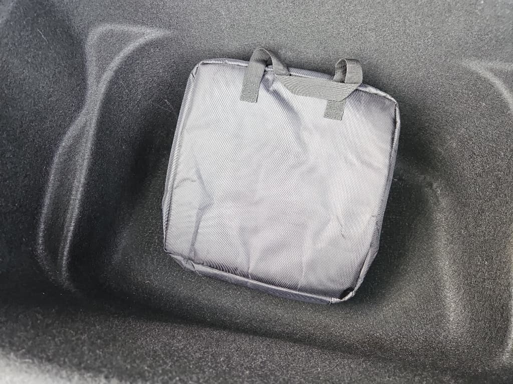 2021 Tesla Model Y view 6