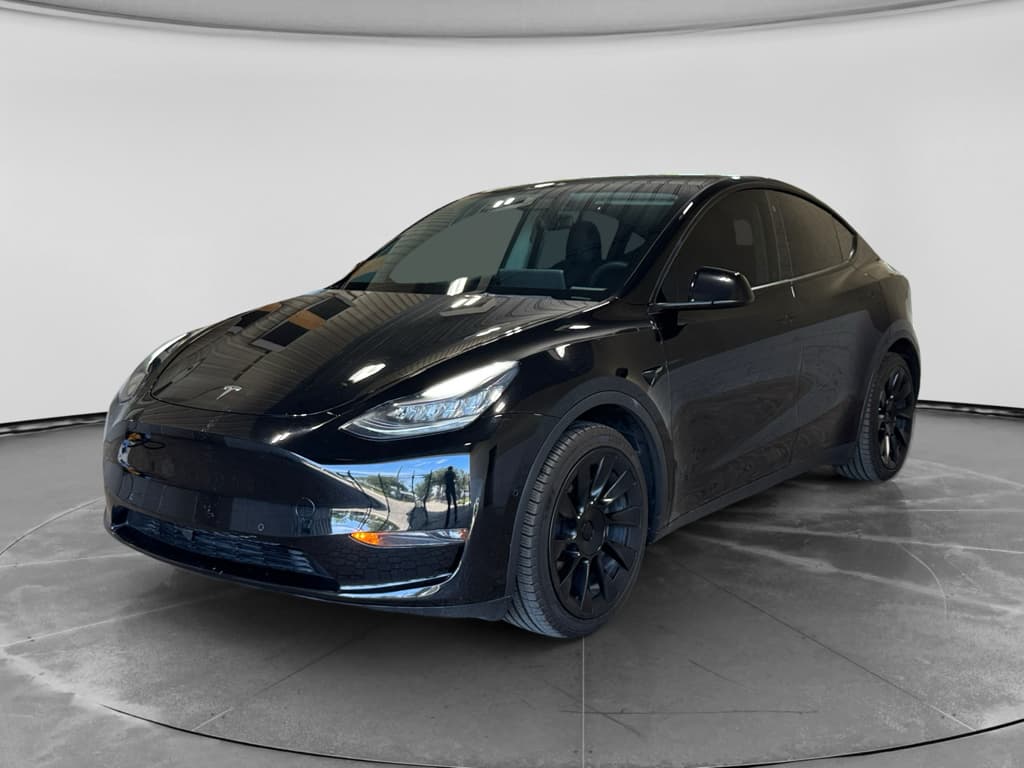 2021 Tesla Model Y view 1